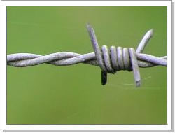 Barbed wire