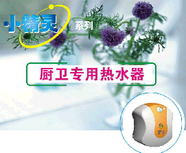 廚衛(wèi)專用熱水器