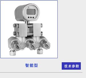 德國(guó)菲索AFRISO壓力變送器