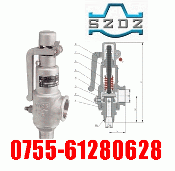 A28H、A28Y彈簧全啟動式安全閥-（東澤閥門）