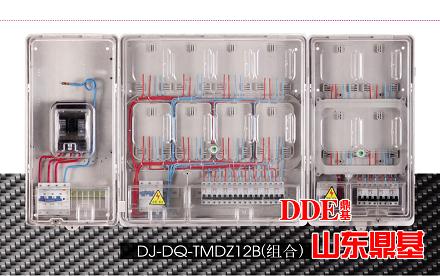 生產(chǎn)透明12表位電表箱TMDZ12B組合