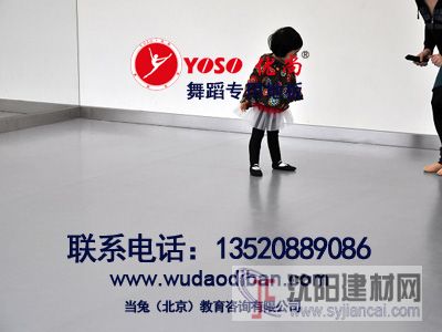 供應(yīng)防滑，耐磨舞蹈地膠