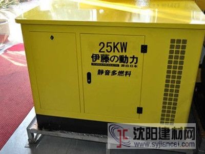 上海伊藤25kw多燃料發(fā)電機(jī)