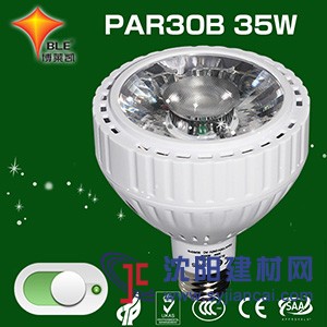 PAR30LED射燈B